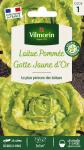 Potagères - Laitue Pommée Gotte Jaune d'Or - PACKAGING_RECTO
